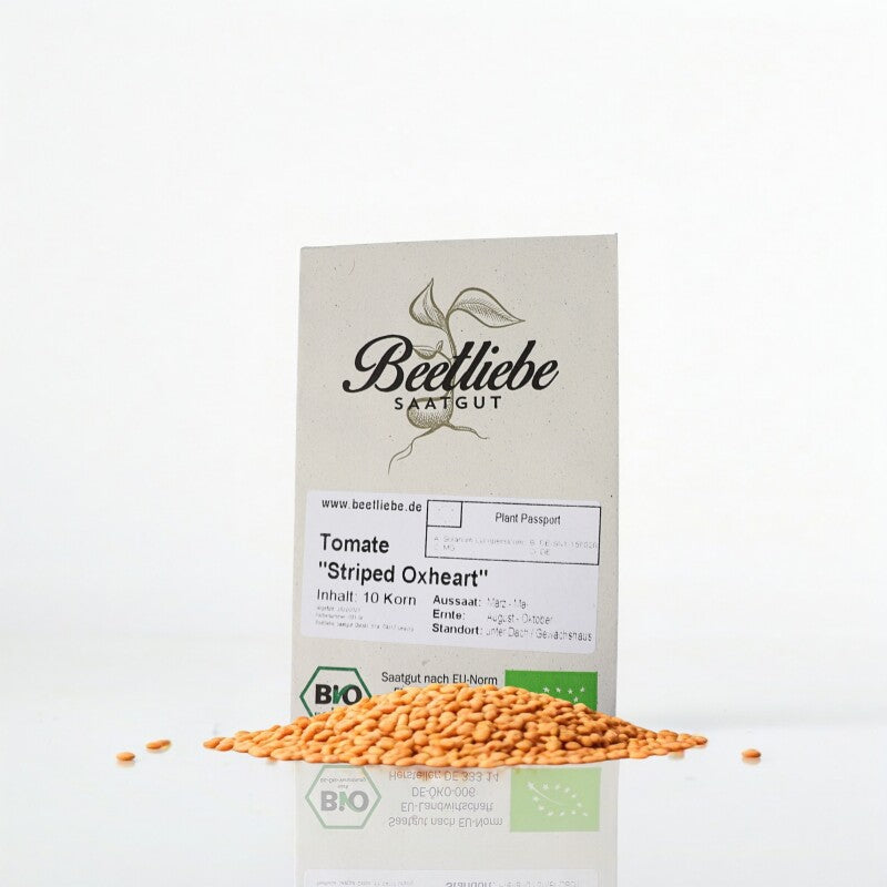 Stabtomate Striped Oxheart - BIO-Tomatensorte Samenfest