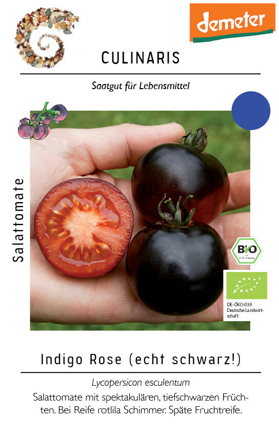 Indigo Rose Schwarze Salattomateechter Blickfang