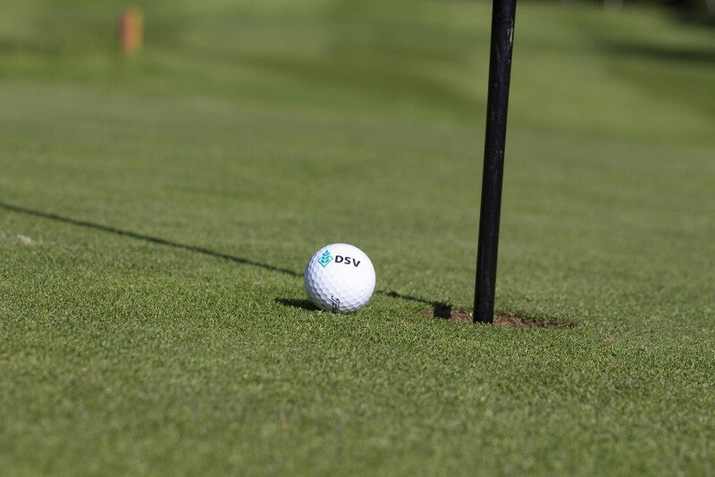 DSV-Rasensamen 4.1.7 Golfrasen Grün Nachsaat 10kg