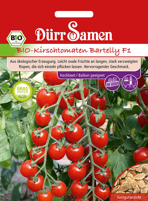 BIO Tomaten Bartelly F1, Leicht Ovale Früchte An Langen Stark Verzweigten Rispen, Gute Resistenzen