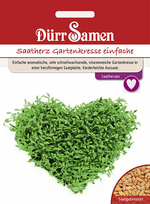 Gartenkresse Einfache Saatherzen