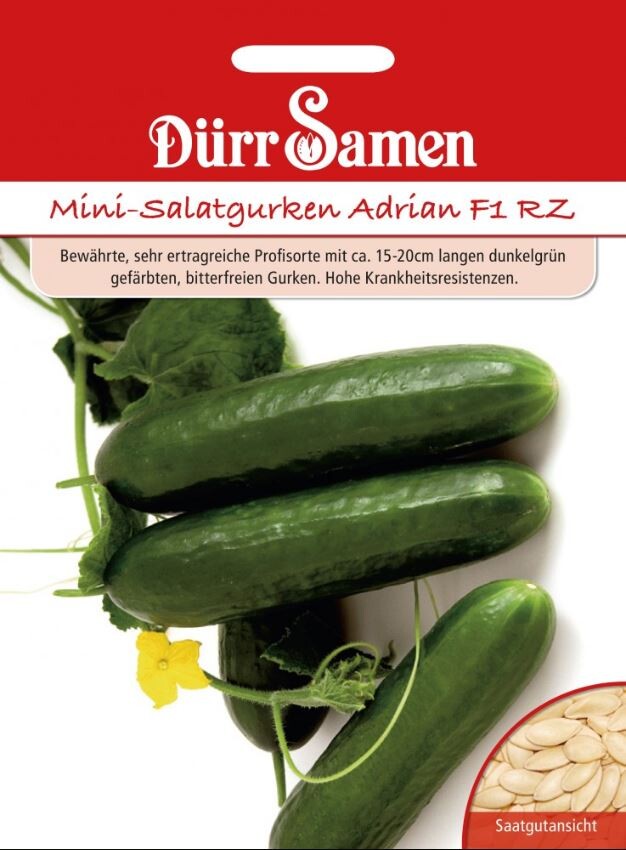 Dürr Mini-Gurken Adrian F1, Sehr Ertragreich Mit Ca. 15-20 Cm Dunkelgrünen Bitterfreien Gurken