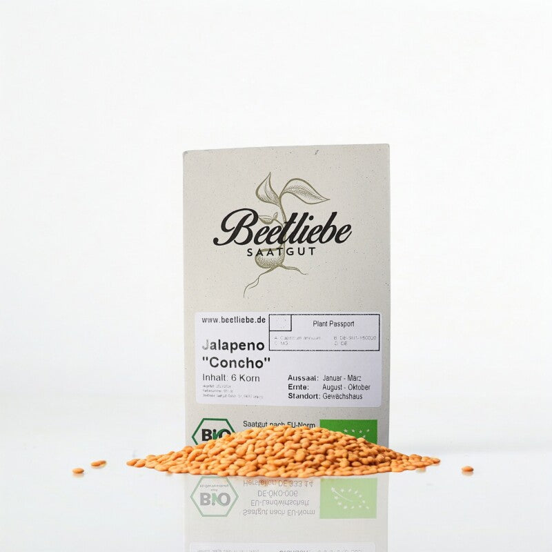 Jalapeno Samen Concho Samenfest & BIO Sehr Scharf