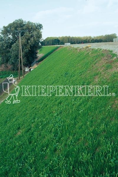 Böschungsansaat Mit Klee DSV 87010kg