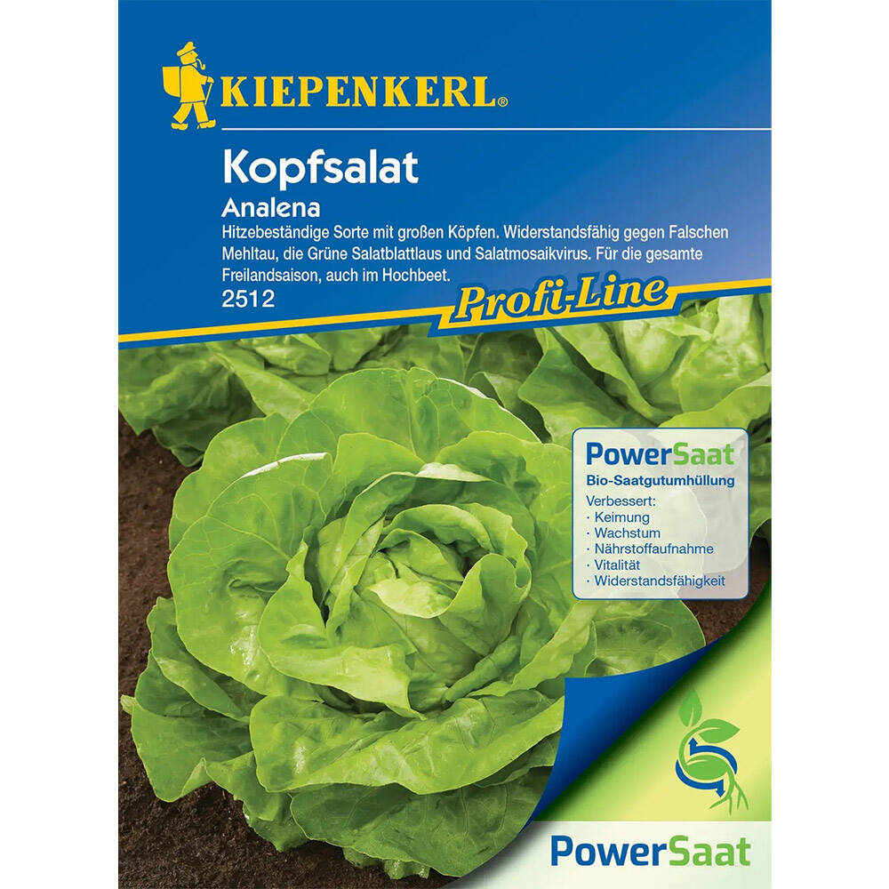 Kopfsalat Analena (PowerSaat), Hitzebeständig Schossfest Resistent Und Widerstandfähig