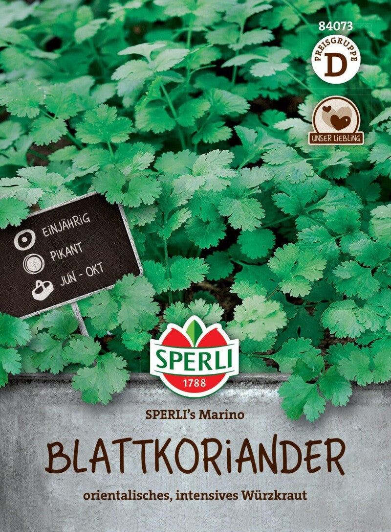 Koriander SPERLI's Marino (Blattkoriander), Intensives Würzkraut, Einjährig, Pikant