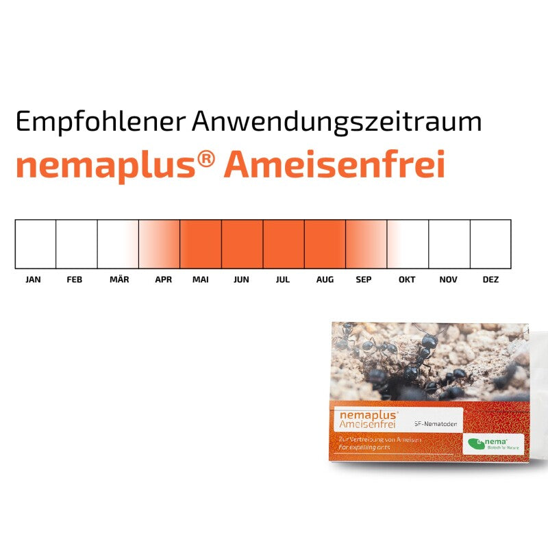 NemaPlus Ameisenfrei Biologische Ameisenvertreibung Durch SF Nematoden