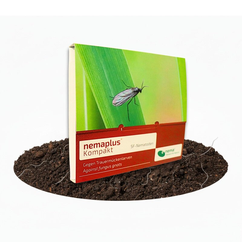 NemaPlus Kompakt SF Nematoden Zur Bekämpfung Von Trauermücken 2x5 Mio