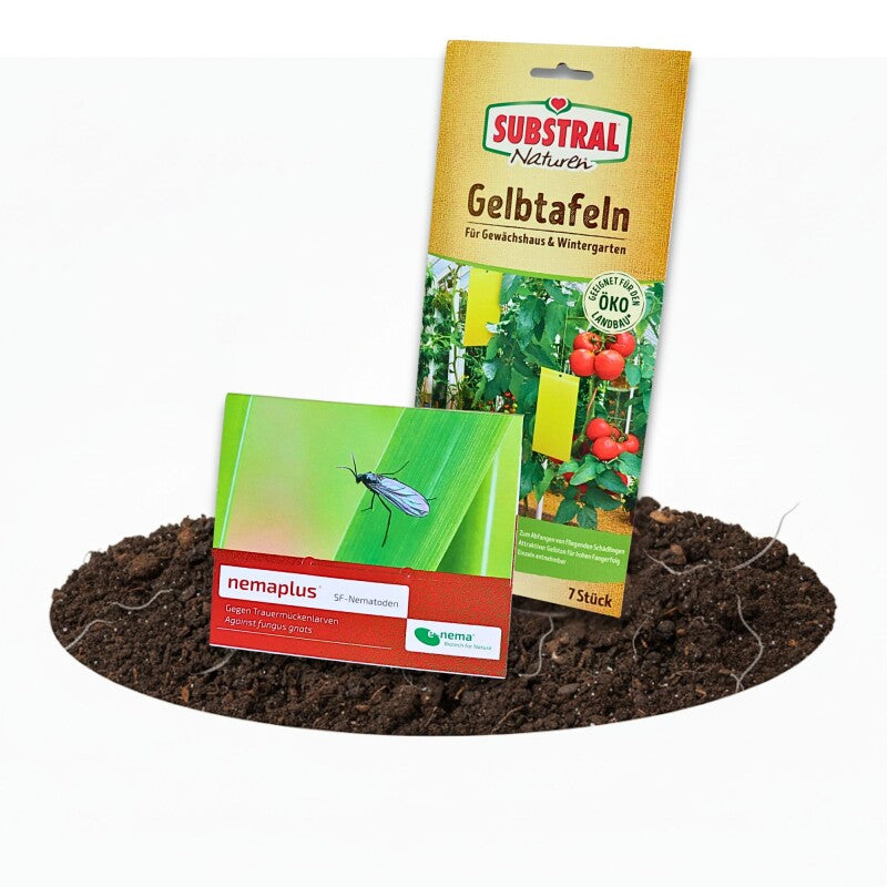 NemaPlus SF Nematoden + Naturen BIO Gelbtafeln (Inhalt: 7 Stück), Kombi-Packung Zur Trauermückenbekämpfung