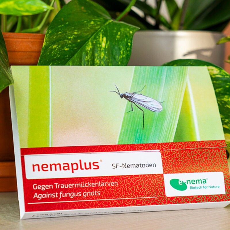 NemaPlus SF Nematoden + Nema-Quick (50 Ml) Kombi-Packung SF Nematoden Zur Bekämpfung Von Trauermücken