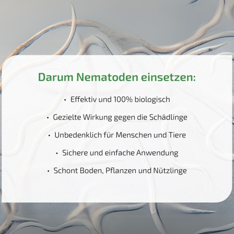 NemaPlus SF Nematoden Zur Bekämpfung Von Trauermücken