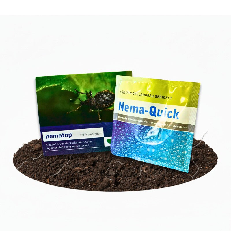 NemaTop 10 Mio + Nema-Quick Kombi-Packung HB Nematoden Gegen Den Dickmaulrüssler