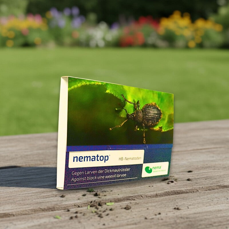 NemaTop (50 Mio) HB Nematoden Plus Nema-Sprayer