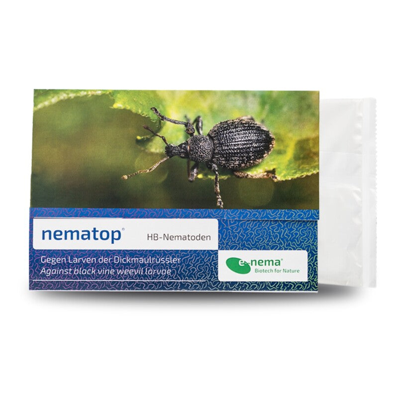 NemaTop HB Nematoden Zur Bekämpfung Des Dickmaulrüsslers