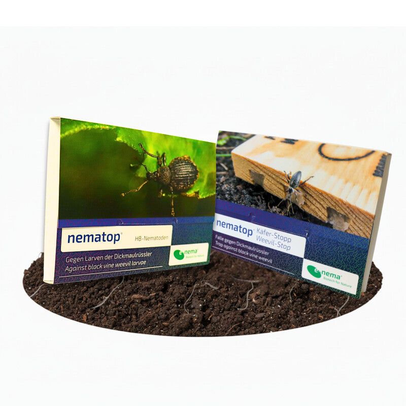 NemaTop (10 Mio) Plus Nematop-Käferstopp (2,5 Mio) Kombi-Packung HB Nematoden Gegen Den Dickmaulrüssler