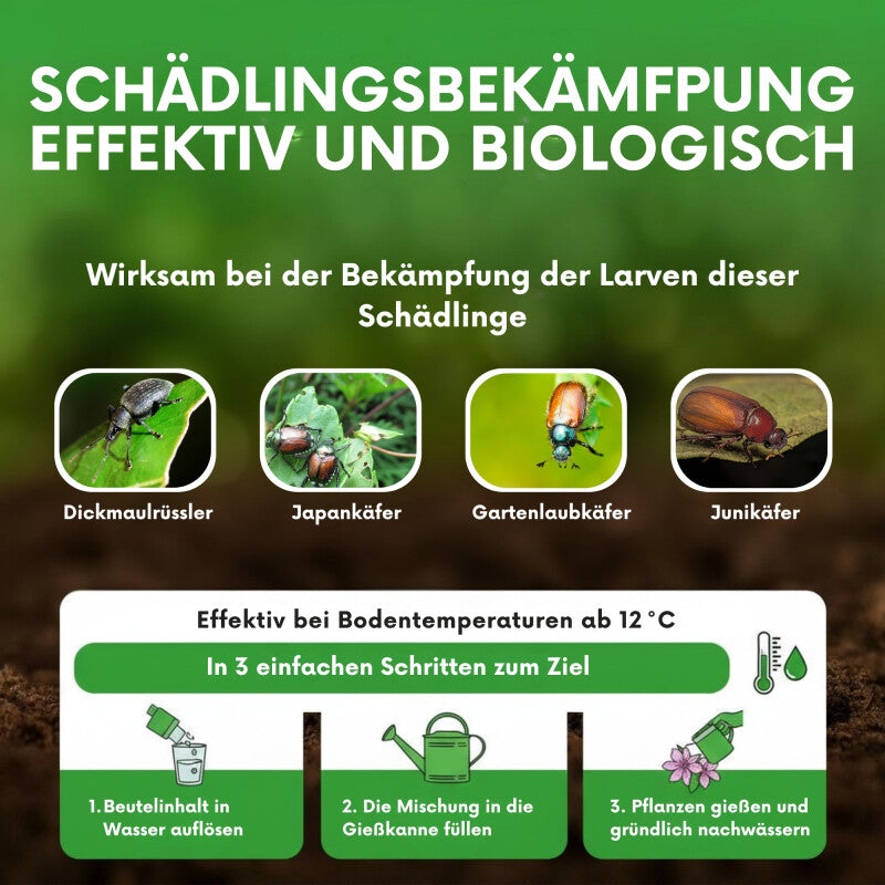 NemaTaurus® HB Nematoden | Gegen Dickmaulrüssler Gartenlaubkäfer Purzelkäfer Junikäfer Dungkäfer
