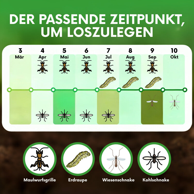 NemaTaurus® SC Nematoden | Gegen Maulwurfsgrillen, Wiesenschnaken, Erdraupen & Kohlschnaken