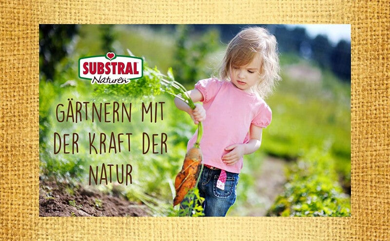 Naturen Obstmaden-Falle Gegen Apfelwickler An Äpfeln, Birnen Und Walnüssen (Obstmade), 1 Set