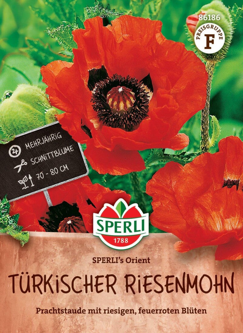 Türkischer Riesenmohn SPERLI's Orient, Mehrjährige Schnittblume, Staude, Saatgut Von Sperli
