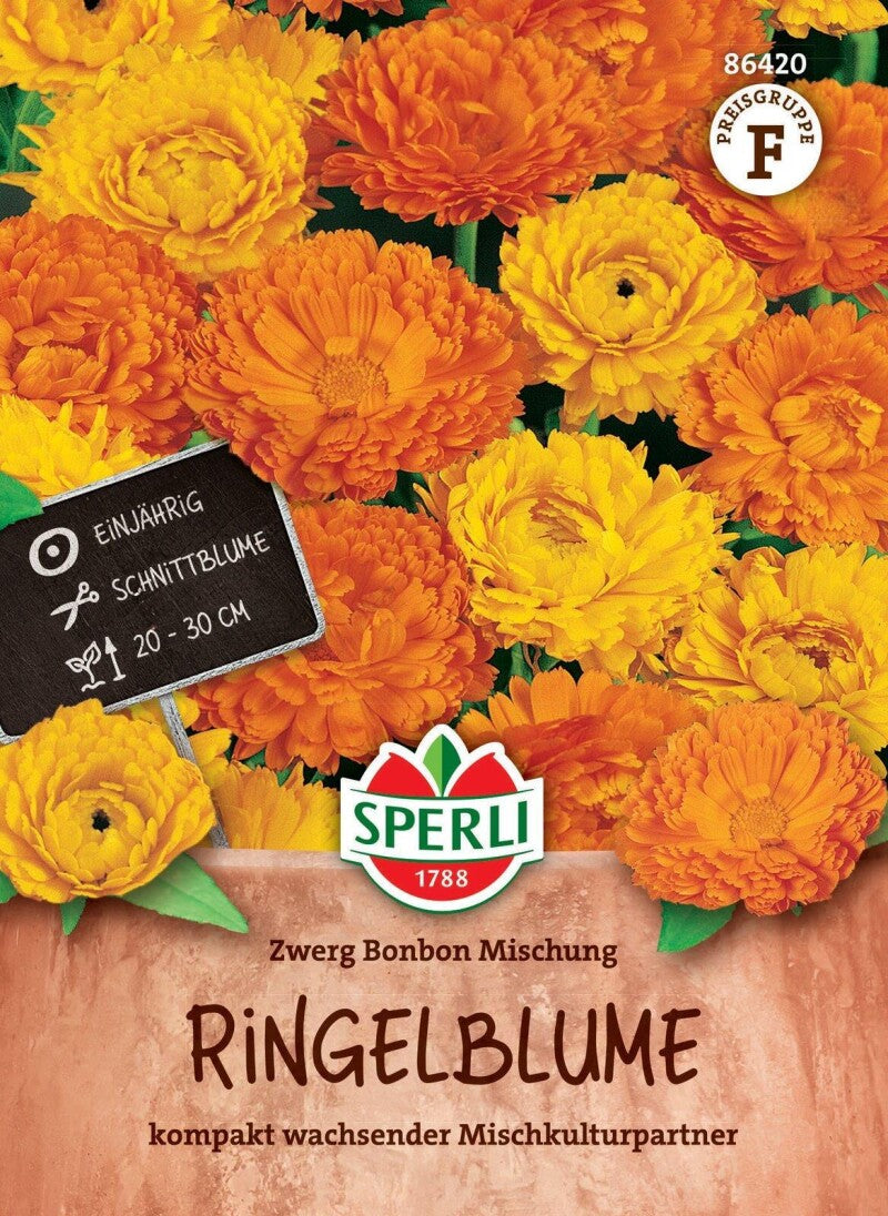Sperli Ringelblume Zwerg Bonbon Mischung, Kompakt Wachsender Mischulturpartner, Schnittblume