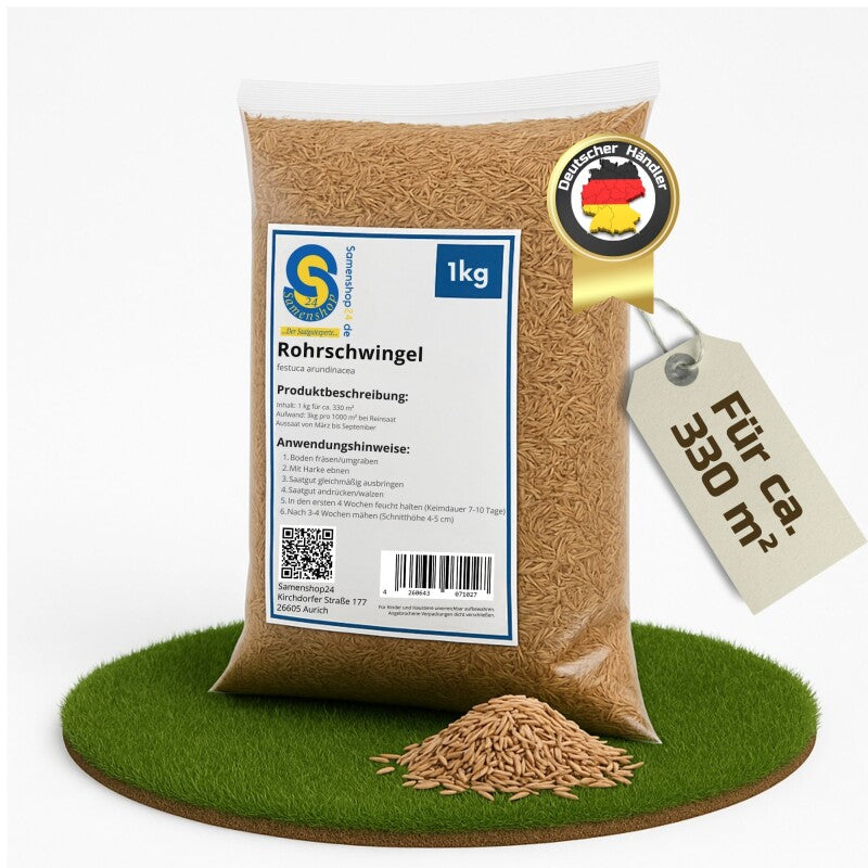 Samenshop24® Rohrschwingel Festuca Arundinacea, Inhalt: 1kg, Widerstandsfähig Gegen Dürre Und Hitze