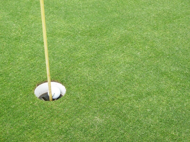 RSM-Rasensamen 4.1.3 Golfrasen Grün 10kg
