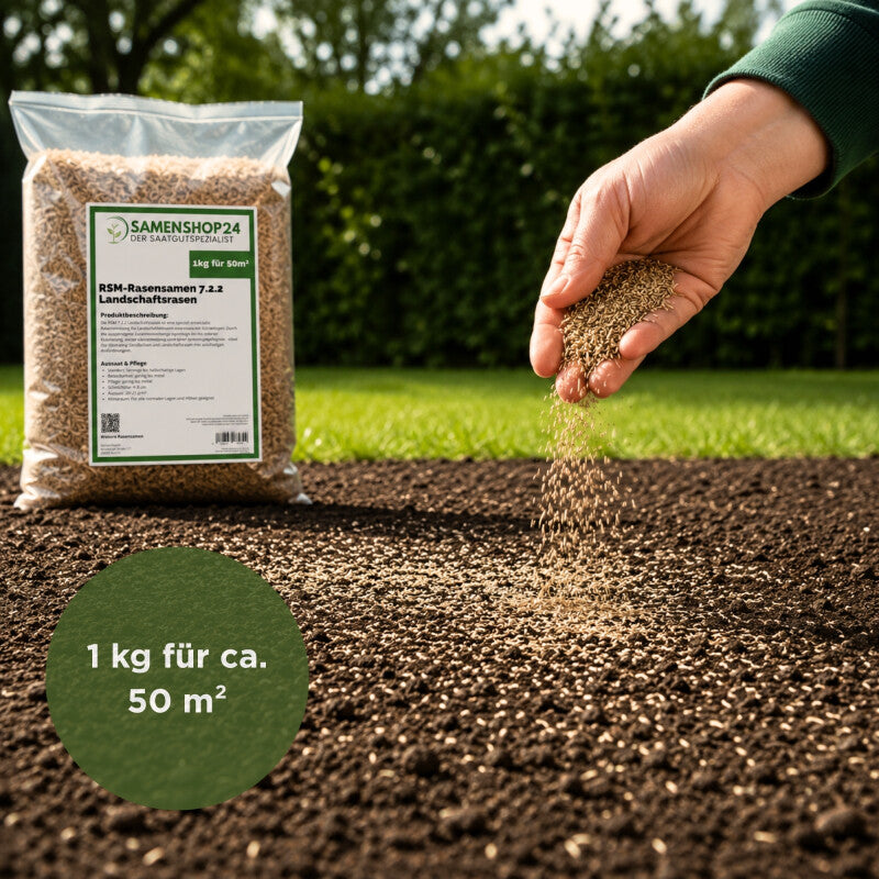 RSM-Rasensamen 7.2.2 Landschaftsrasen, Trockenlagen Mit Kräutern, Inhalt: 1kg Für Ca. 50 M²