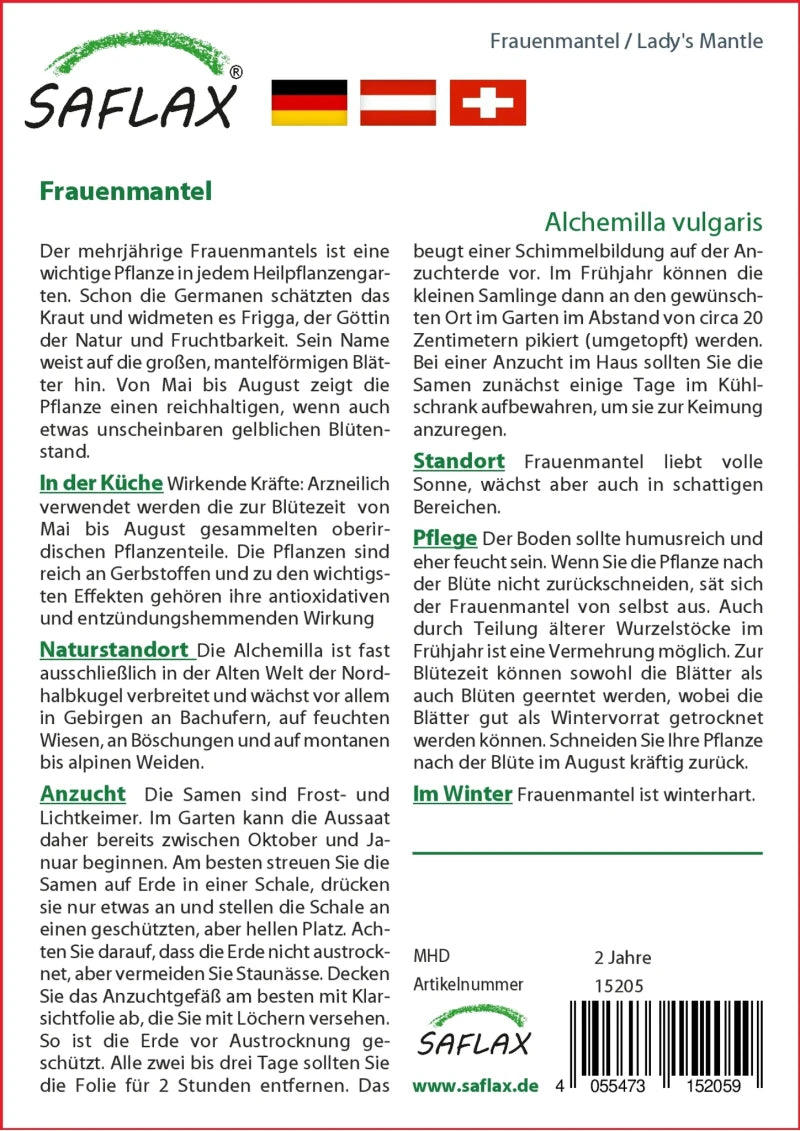 Frauenmantel - Alchemilla Vulgaris Heilpflanzen