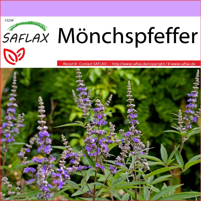 Mönchspfeffer - Vitex Agnus-castus -Heilpflanzen