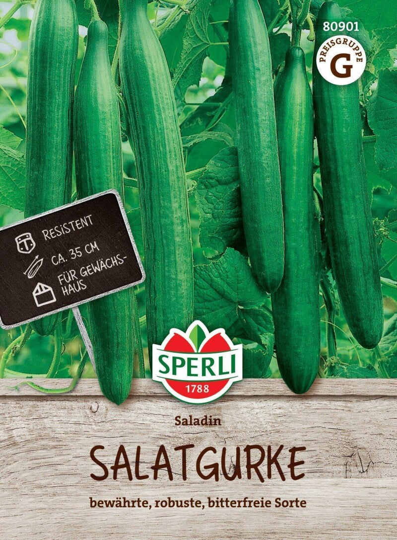 Salatgurke Saladin F1, Bewährt & Robust, Bitterfreie Sorte, Gewächshaus Geeignet