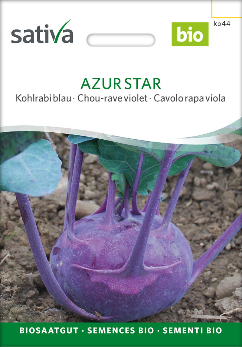 Kohlrabi Azur Star Schossfeste Sehr Frühe Sorte
