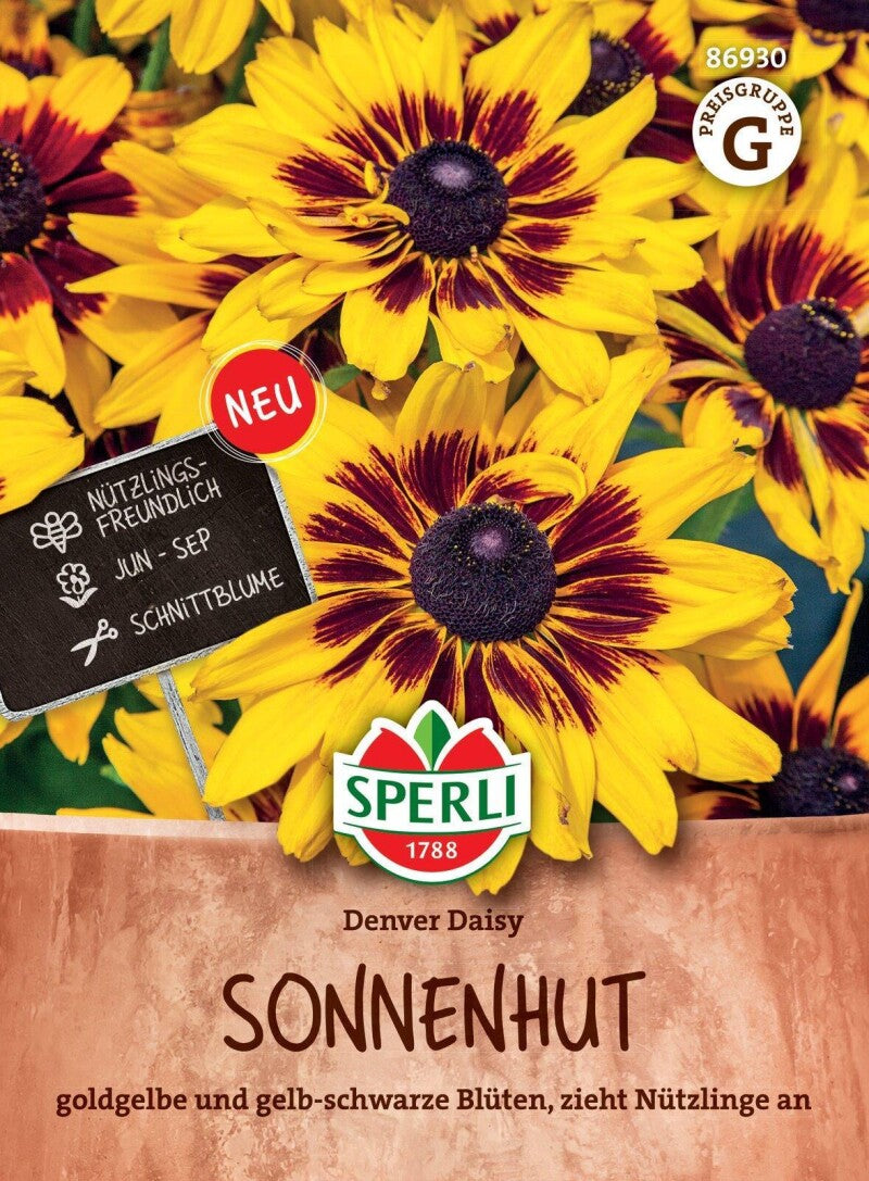 Sonnenhut Denver Daisy, Nahrungsquelle Für Nützinge, Gute Schnittblume