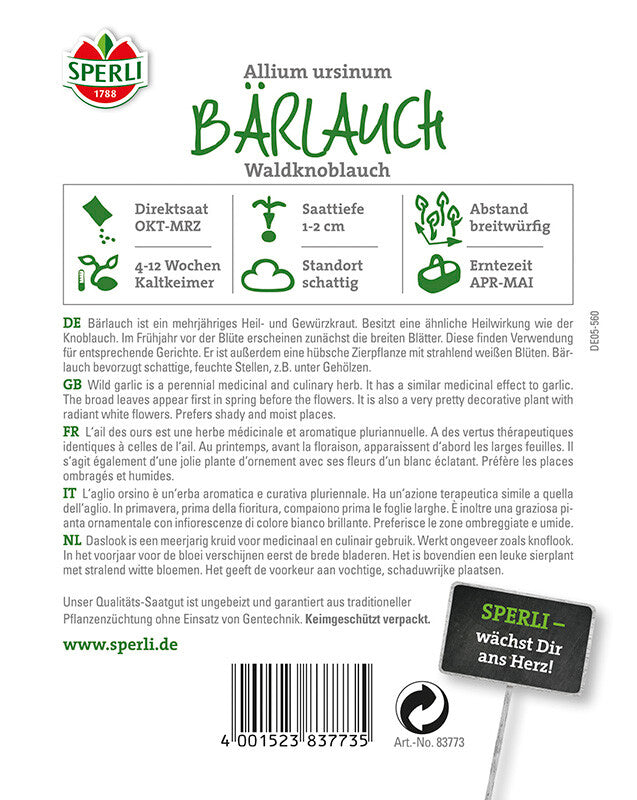 Bärlauch Wald Knoblauch