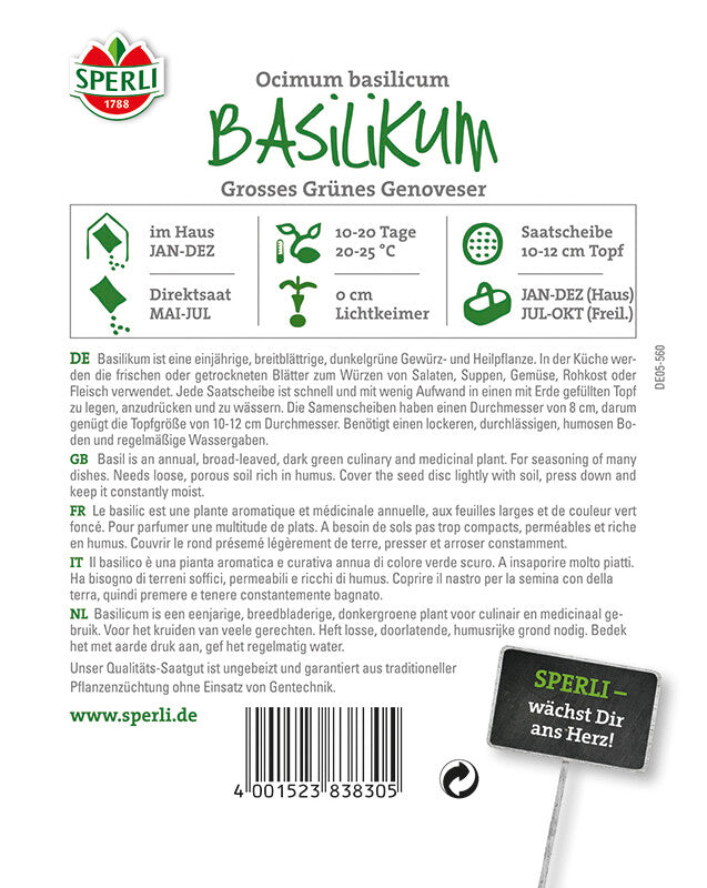 Basilikum Genoves. 5 Saatscheiben