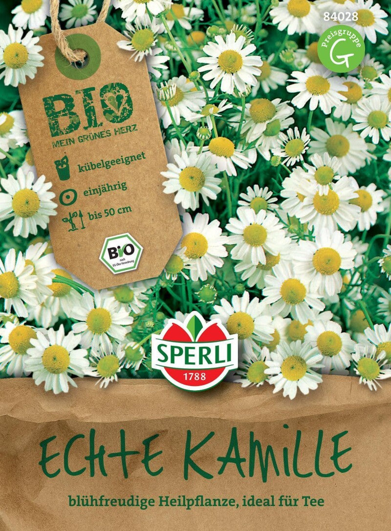 BIO Echte Kamille, Einjährige Aufrecht Wachsende Heilpflanze, Zur Teeherstellung, Sehr Pflegeleicht Und Anspruchslos