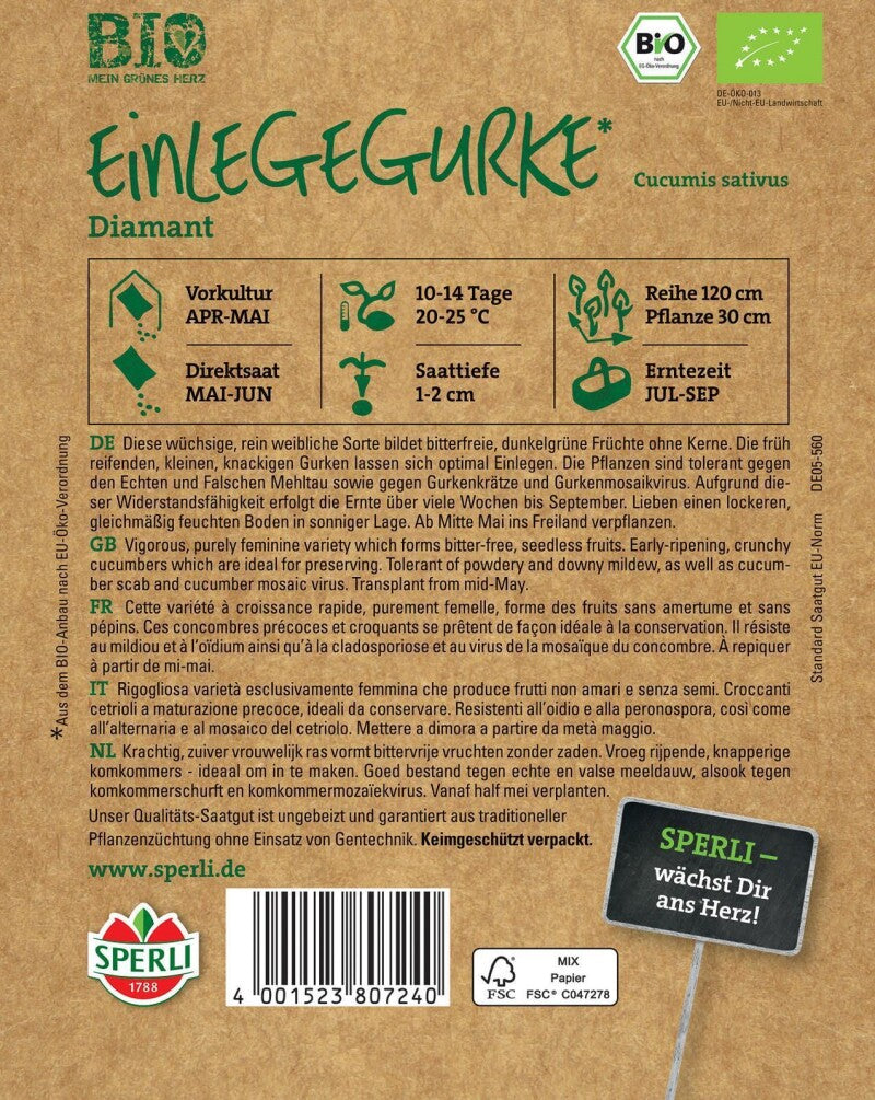 BIO Einlegegurke F1, Rein Weibliche Sorte Bildet Bitterfreie Dunkelgrüne Früchte Ohne Kerne, Tolerant Und Widerstandsfähig