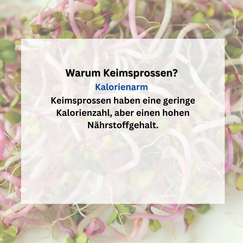 SPARANGEBOT BIO-Keimsprossen-Set 3-12 Sorten Große Auswahl Würziger Sorten