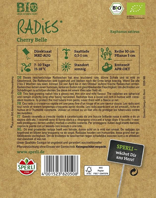 BIO-Radies Rund, Robuste Sorte Für Die Ganze Freilandsaison, Raschwüchsig