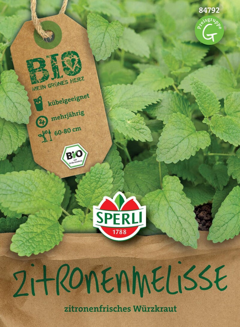 BIO Zitronenmelisse, Mehrjähriges Starkwüchsiges Würzkraut, Buschiger Und Verzweigter Wuchs