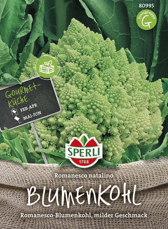 Blumenkohl Romanesco Natalino