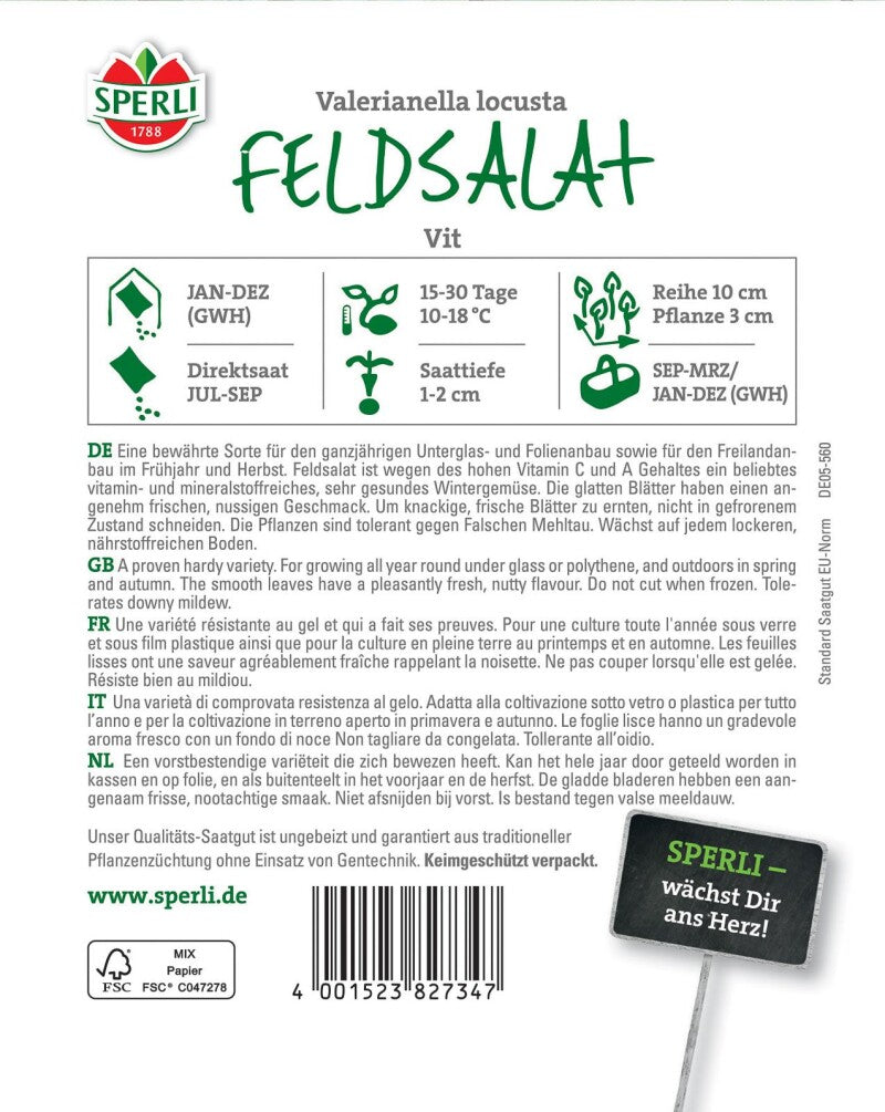 Feldsalat Vit, Wegen Des Hohen Vitamin C Und A Gehaltes Ein Beliebtes Wintergemüse, Tolerant Gegen Falschen Mehltau