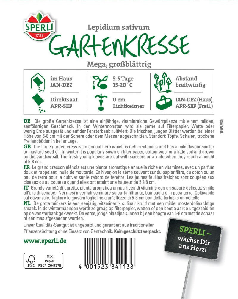 Gartenkresse Mega, Großblättrige Gartenkresse Ist Eine Einjährige Vitaminreiche Gewürzpflanze