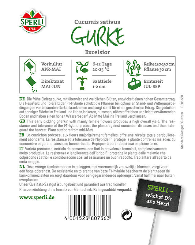 Gurke Excelsior F1 (verb. Für Cubella) Ausgezeichnete Bitterfreie Einlegegurke