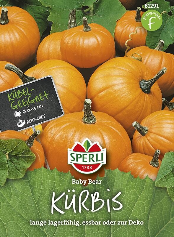 Kürbis Baby Bear
