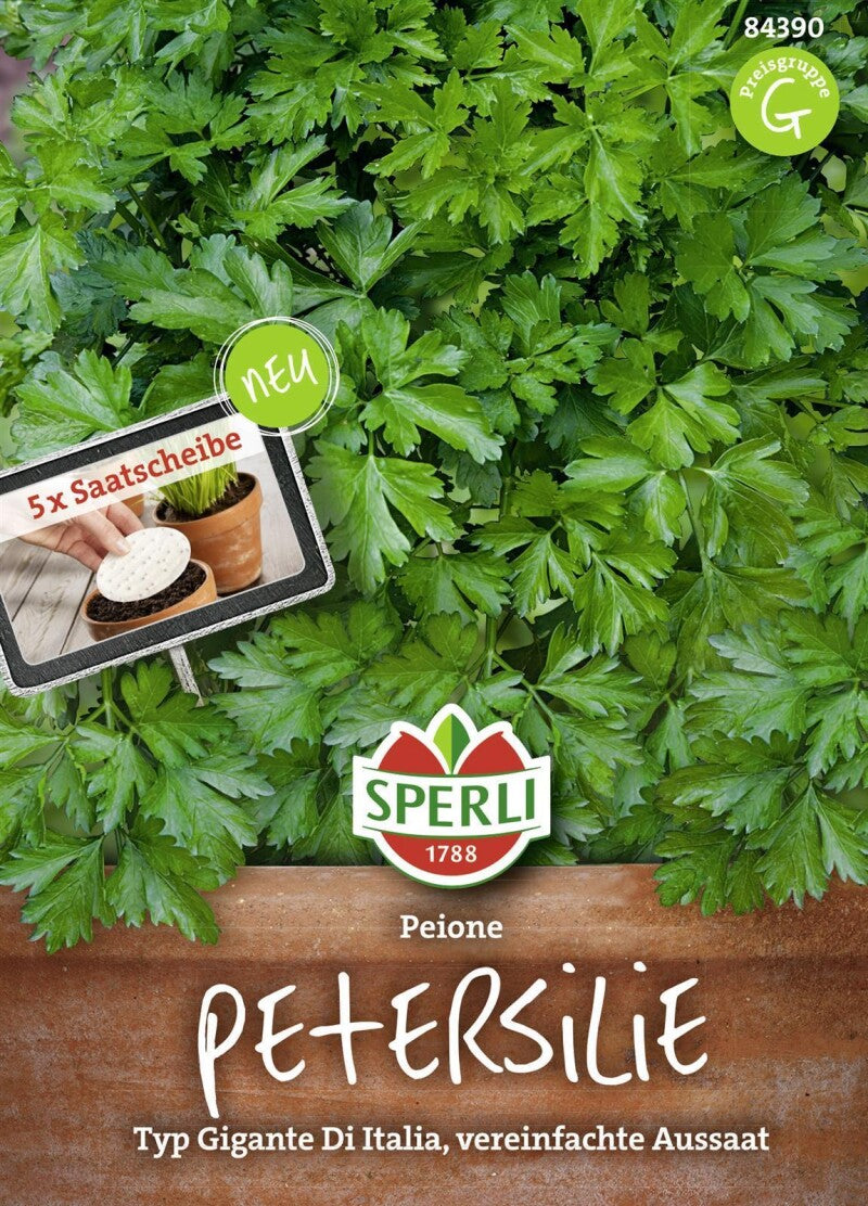 Petersilie Peione (Saatscheiben), Aromatische Und Ertragreiche Sorte Mit Großen Glatten Blättern