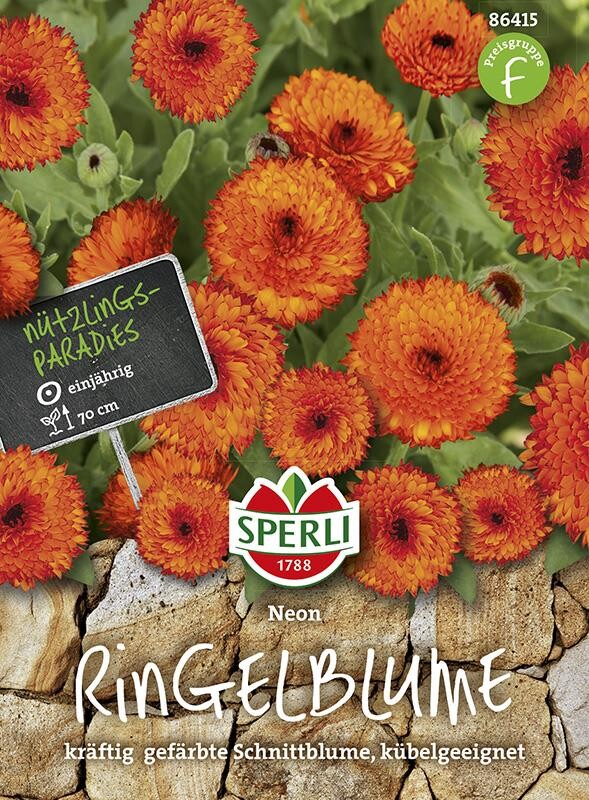 Ringelblume Calendula Officinalis Neon
