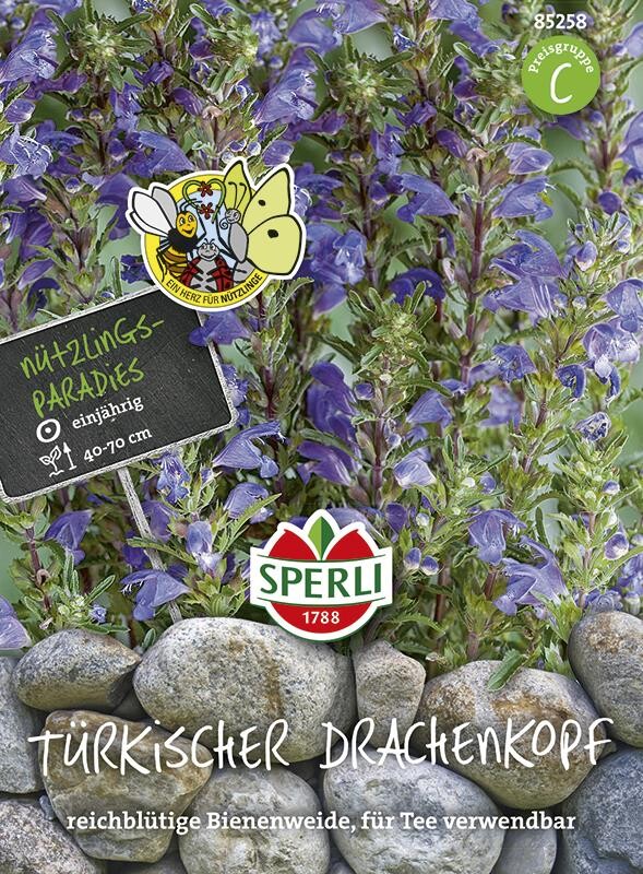 Türkischer Drachenkopf, Imposante Pflanze Mit Blau-lilafarbenen Blüten,äußerst Nektarreich