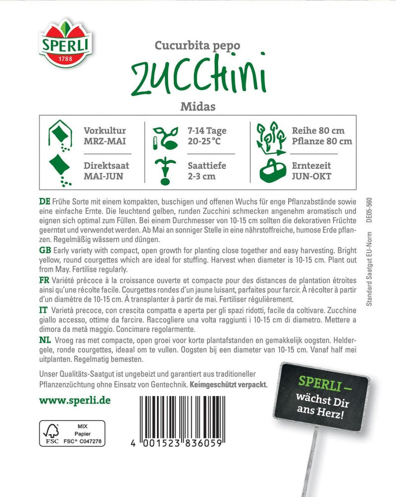 Zucchini Midas F1, Frühe Sorte Mit Einem Kompakten Buschigen Wuchs, Eignen Sich Optimal Zum Füllen