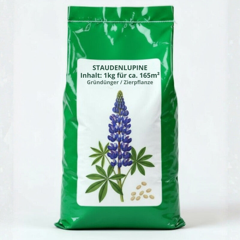 Staudenlupine Blau Lupinus Perenne Mehrjährig 1kg