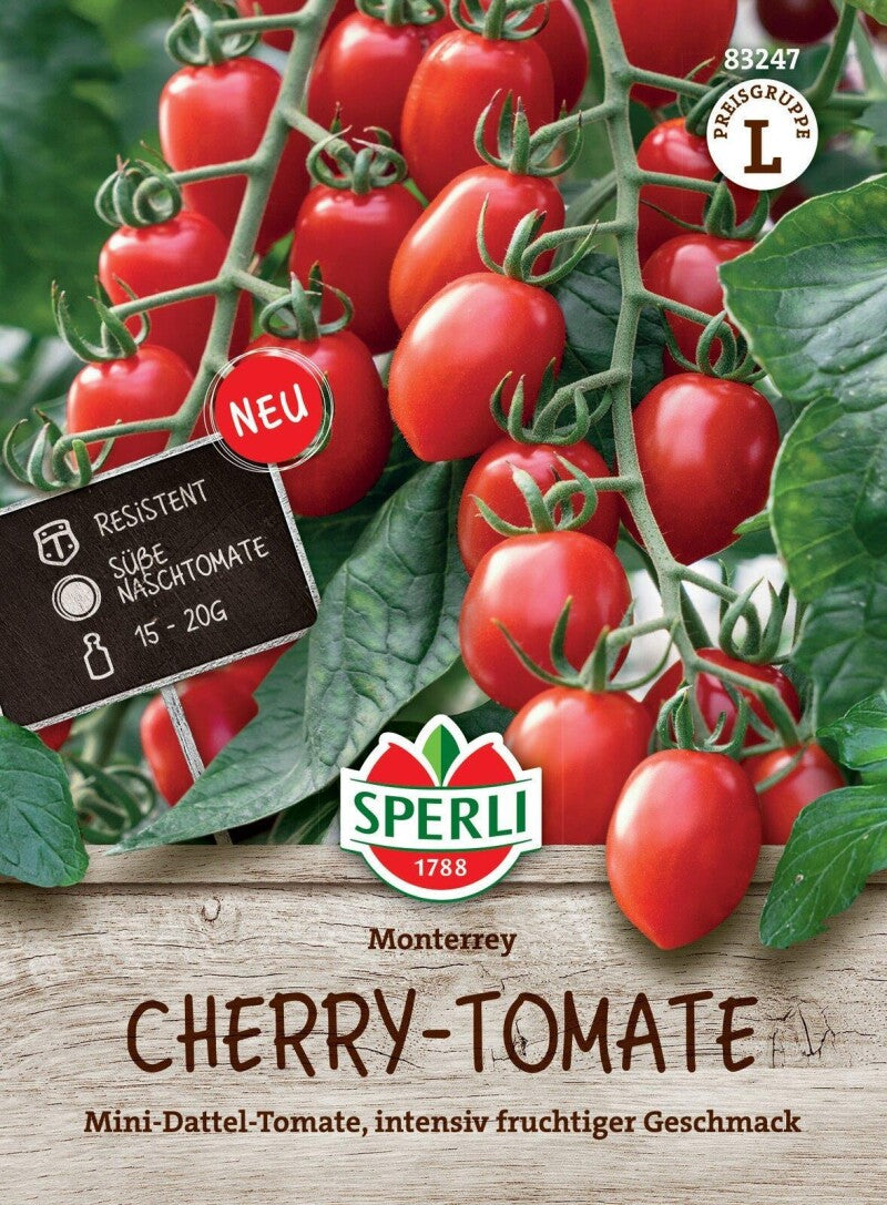 Cherrytomate Monterrey F1 (Mini Dattel Tomate), Geschmack: Intensiv-fruchtig, Resistent